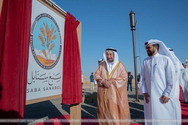 Sharjah Ruler witnesses harvest of 1st phase of wheat farm in Mleiha
