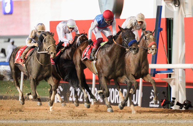 20 Dubai World Cup 2023 brings together 129 horses from 13 countries