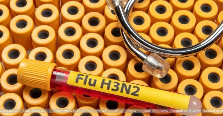 1 వ్యాపిస్తున్న H3N2 వైరస్