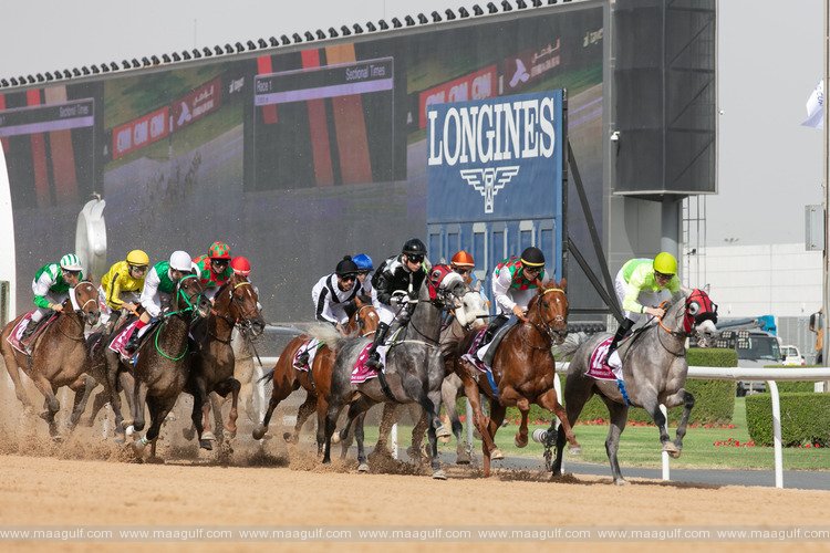 27th Dubai World Cup meeting to take place Saturday at Meydan Racecourse