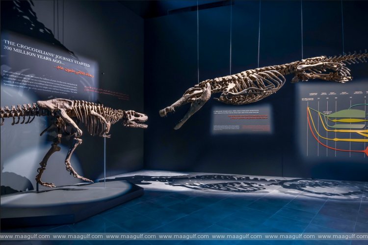 Dubai Crocodile Park Opens Its Doors