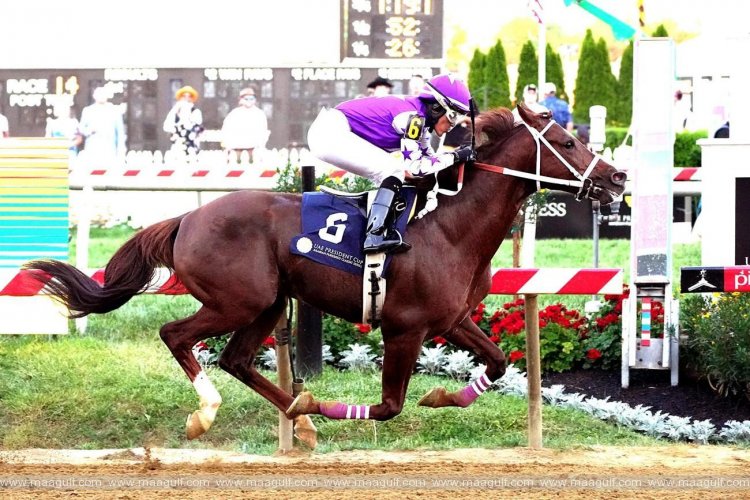 UAE President’s Cup World Series for Purebred Arabian Horses to kick off in France next month