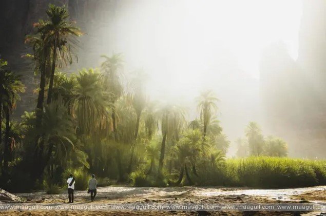 సౌదీ ఉత్తర ప్రాంతాలలో ఉష్ణోగ్రతలు తగ్గుముఖం..!