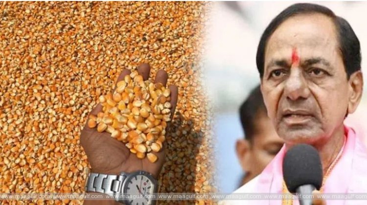 మొక్కజొన్న రైతులకు కేసీఆర్ తీపి కబురు