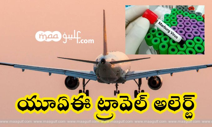 1 యూఏఈ ట్రావెల్ అలెర్ట్: మార్బర్గ్ వైరస్ ఎంత ప్రమాదకరమైంది?