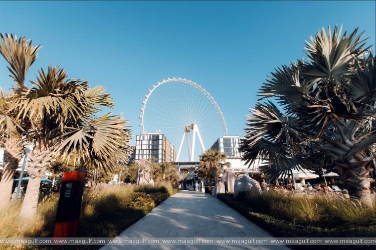 Cove Beach Unveils Eid Line-Up