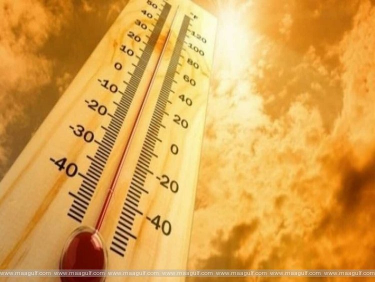 ఐదేళ్ల పాటు ప్రపంచవ్యాప్తంగా అధిక ఉష్ణోగ్రతలు: ఐక్యరాజ్యసమితి