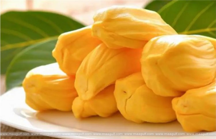 వేసవిలో పనస ఎంత ఆరోగ్యమో తెలుసా.?