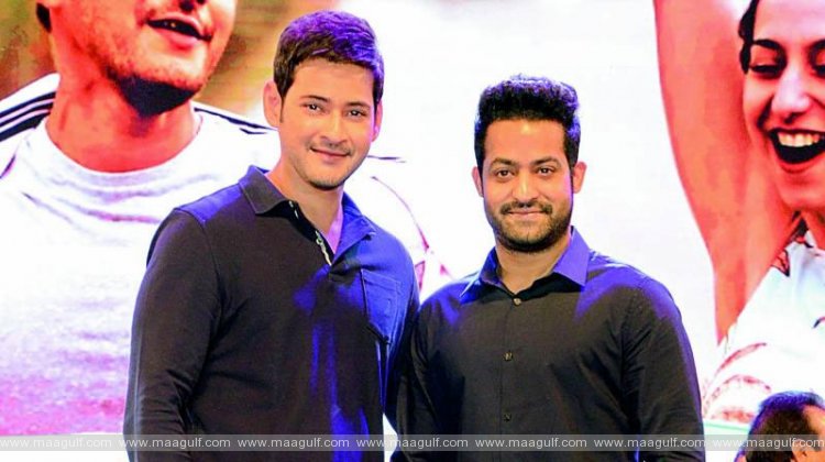 ఎన్టీయార్ ఫ్యాన్స్‌ వెర్సస్ మహేష్ ఫ్యాన్స్‌.! ఏందిరా లొల్లి.?