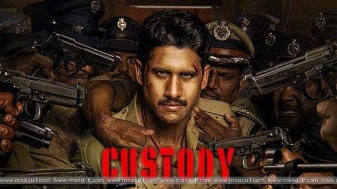 కస్టడీ రిజల్ట్: ప్యాన్ ఇండియా ప్రాజెక్ట్ సంగతేంటో.!