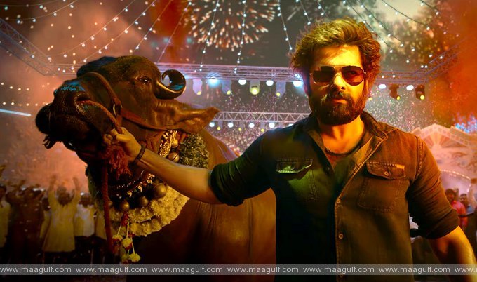 బర్త్ డే స్పెషల్: బోయపాటి ర్యాపో థండర్.. మాస్ ఊరమాస్ బాస్.!