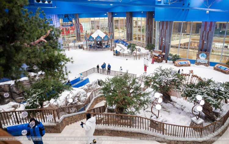 అబుధాబిలో ప్రారంభమైన ‘ఇండోర్ స్నో పార్క్’