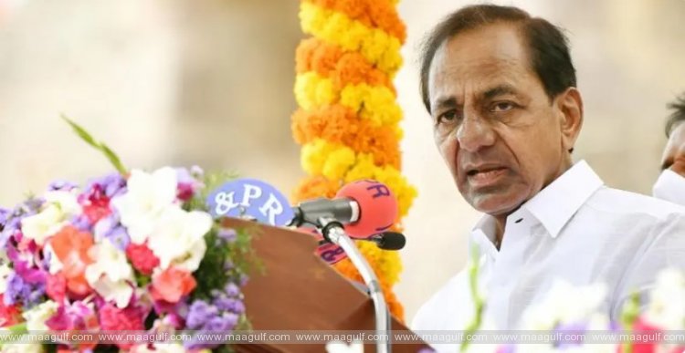 తెలంగాణ ఠీవీ.. మన పీవీ: సిఎం కెసిఆర్‌