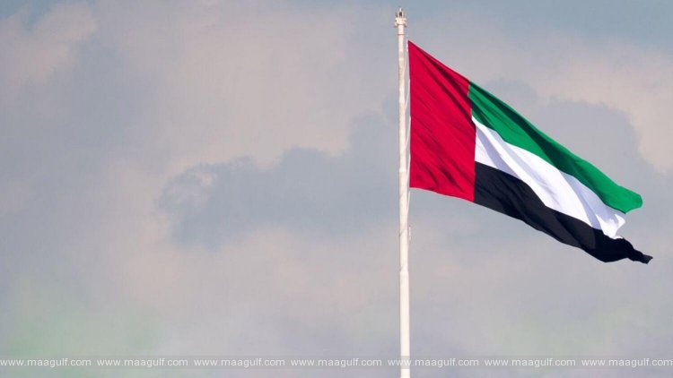 స్వీడన్ రాయబారికి సమన్లు జారీ చేసిన యూఏఈ