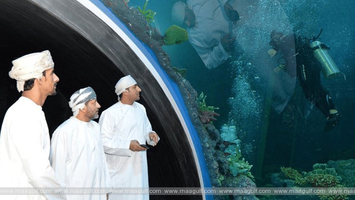 అన్ని సీజన్లలో పర్యాటకులకు ఆకర్షణీయమైన ప్రదేశంగా ఒమన్