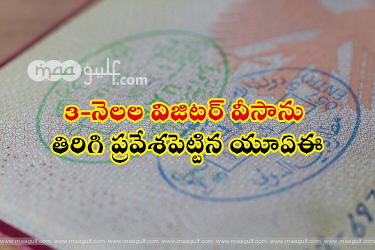 3-నెలల విజిటర్ వీసాను తిరిగి ప్రవేశపెట్టిన యూఏఈ