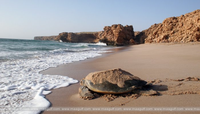 ఒమన్ పర్యాటక రంగ బలోపేతానికి స్పెషల్ క్యాంపెయిన్