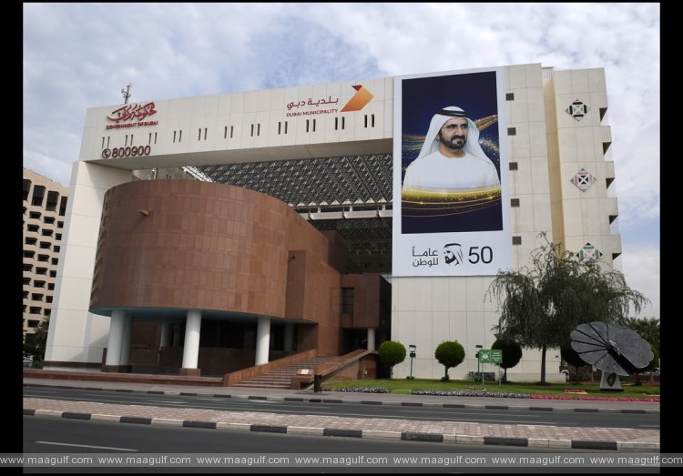 Dubai Municipality opens registrations for ‘Future Talents’ Scholarship programme to advance Emiratisation