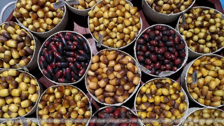 19th Liwa Date Festival begins tomorrow