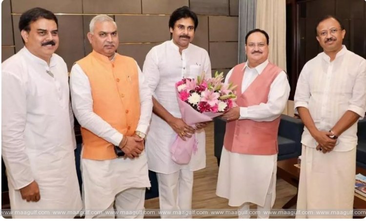 ముగిసిన జనసేన అధ్యక్షుడు పవన్‌ కల్యాణ్‌ ఢిల్లీ పర్యటన