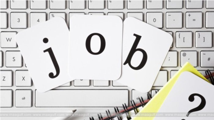 మస్కట్ గవర్నరేట్‌లో ఉద్యోగ అవకాశాలు