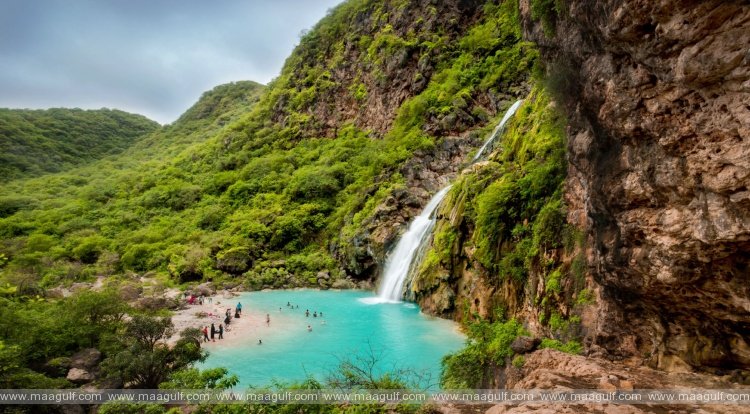 ధోఫర్‌లో ప్రారంభం కానున్న \'బ్లూమ్ హవానా సలాలా\' ఫెస్టివల్