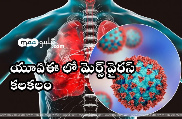 యూఏఈ లో మెర్స్ వైరస్ కేసు: లక్షణాలు, ముందు జాగ్రత్త చర్యలు