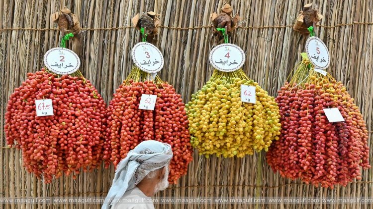 అల్ దైద్ ఫెస్టివల్ లో 40 రకాల ఖర్జూరాలు