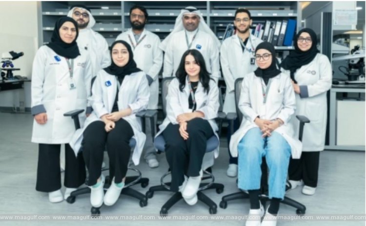 యూనివర్సిటీ విద్యార్థుల కోసం ఇంటర్న్‌షిప్ ప్రోగ్రామ్‌