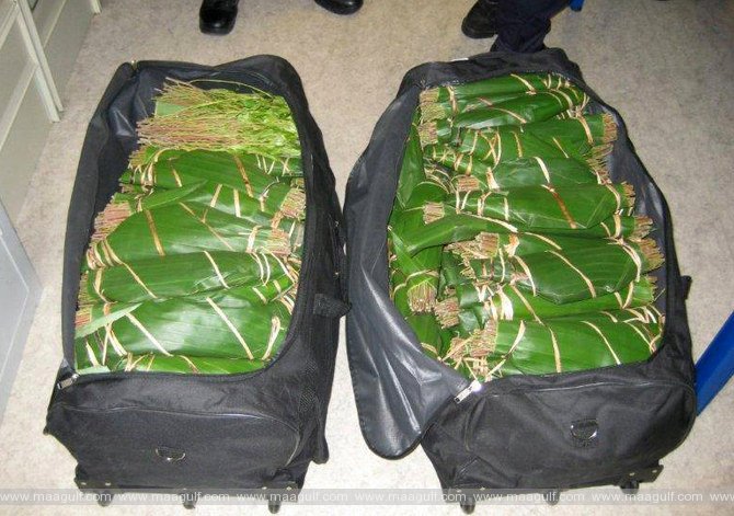 సౌదీలో పెద్దమొత్తంలో మాదకద్రవ్యాలు స్వాధీనం