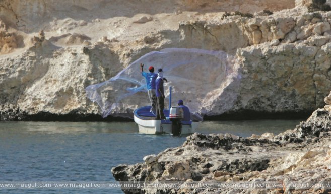 ఒమన్ లో కింగ్ ఫిష్ వ్యాపారం, వేటపై రెండు నెలలు నిషేధం
