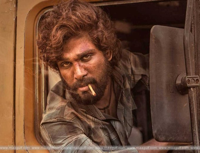 అల్లు అర్జున్ జాతీయ ఉత్తమ నటుడు అవార్డుకి అర్హుడు కాదా.?