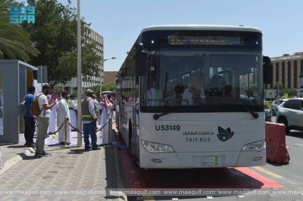 తైఫ్‌లో పబ్లిక్ బస్సు ట్రాన్స్ పొర్ట్ సేవలు ప్రారంభం