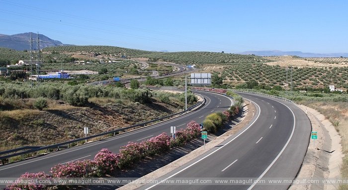 యూనివర్శిటీ డ్యూయల్ క్యారేజ్ వే ఓపెన్