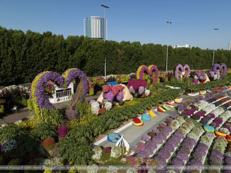 Dubai Miracle Garden blooms anew in its 12th Season with dazzling floral displays