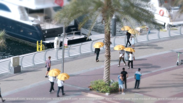 దుబాయ్‌లో అద్దెకు గొడుగులు: వేసవి వేడికి కొత్త పరిష్కారం