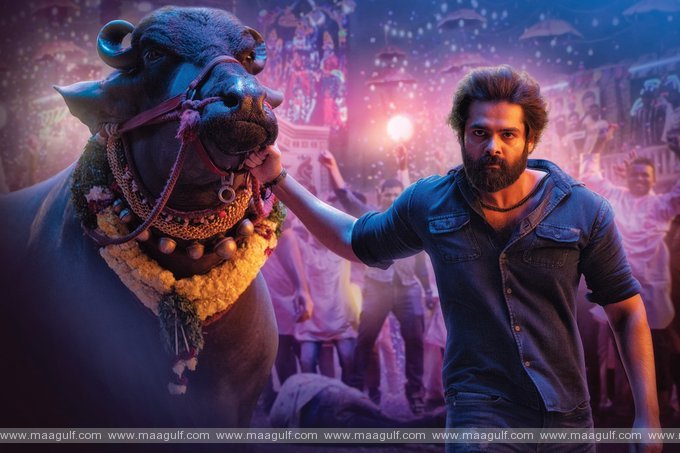 ‘స్కంధ’ అయినా నిలదొక్కుకోలేకపోయిందే.!