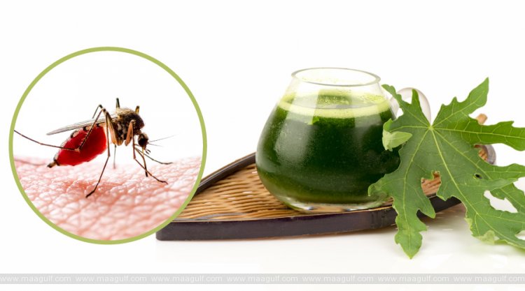 డెంగ్యూ ఫీవర్ నుంచి దూరంగా వుండాలంటే.! ఈ చిన్న చిట్కాలు పాఠించి చూడండి.!