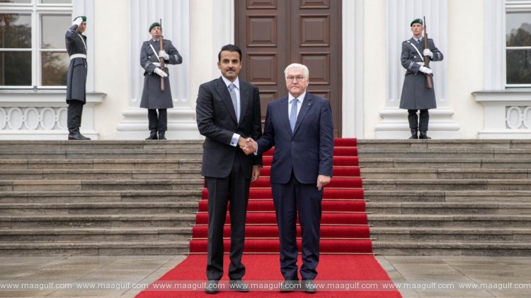 జర్మనీ అధ్యక్షుడితో అమీర్ భేటీ