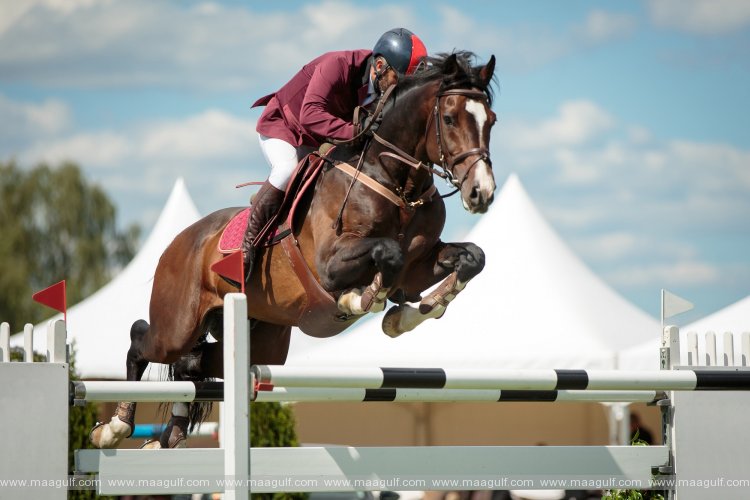 Show jumping competitions launched for the first time in Fujairah