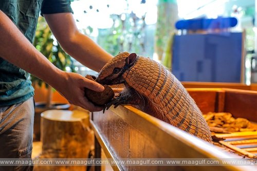 The Green Planet Dubai achieves EAZA Membership