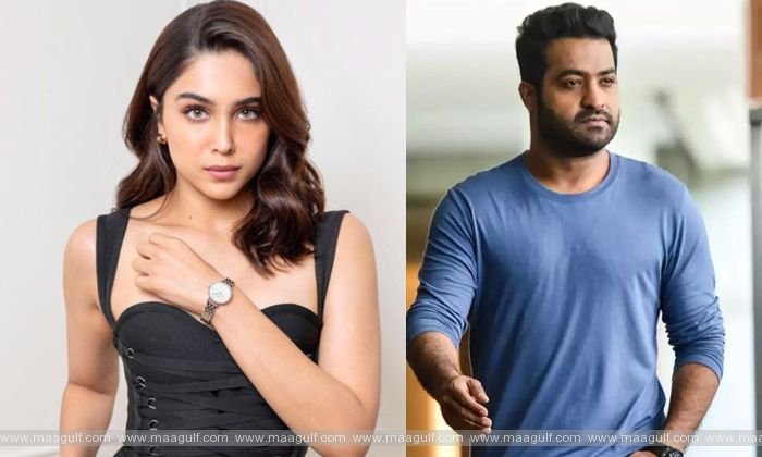 ‘వార్ 2’లో ఎన్టీయార్‌కి జోడీ ఎవరో తెలుసా.?