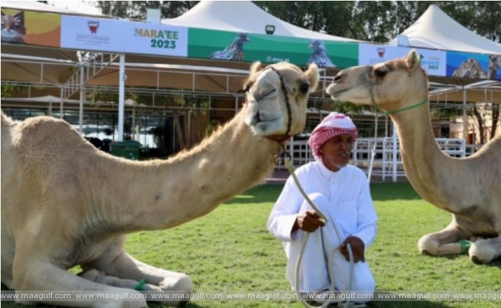 బహ్రెయిన్ యానిమల్ ప్రొడక్షన్ షో 2023 ప్రారంభం