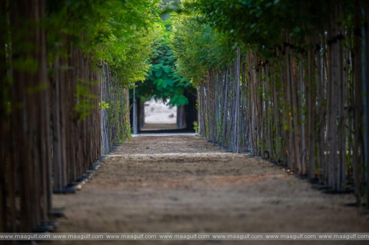 స్వాగతం పలుకుతున్న ఫ్రీ-ఫర్ ఆల్ గ్రీన్ అభయారణ్యం