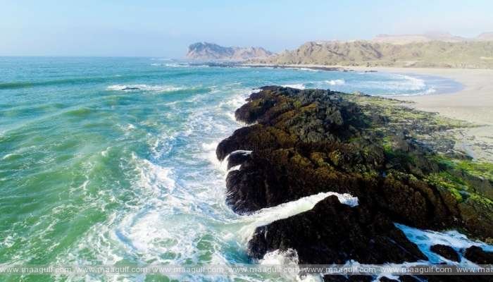 ఒమన్ లో సునామీ అవేర్‌నెస్ డే వేడుకలు