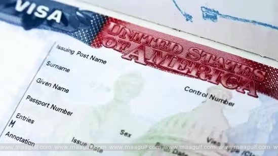 US H-1B వీసా పైలట్ ప్రోగ్రామ్..