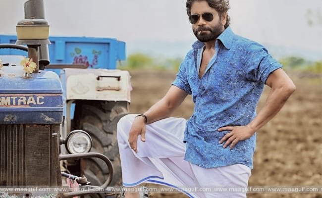 9 అందరి కంటే ముందే నాగ్.! ‘నా సామిరంగ’ .!