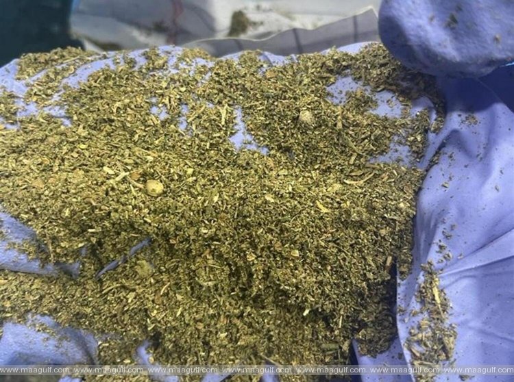 8.9 కేజీల గంజాయి \'హెన్నా పౌడర్\'గా స్మగ్లింగ్