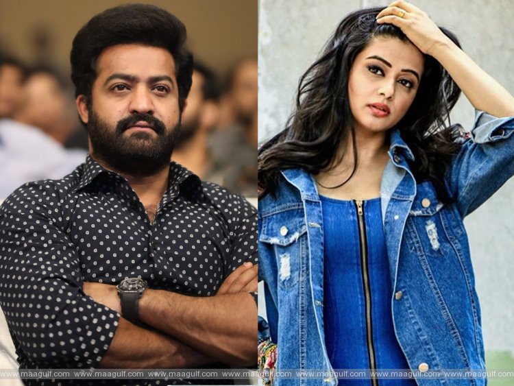 ఎన్టీయార్‌తో ప్రియమణి అప్పుడలా.! ఇప్పుడిలా.?