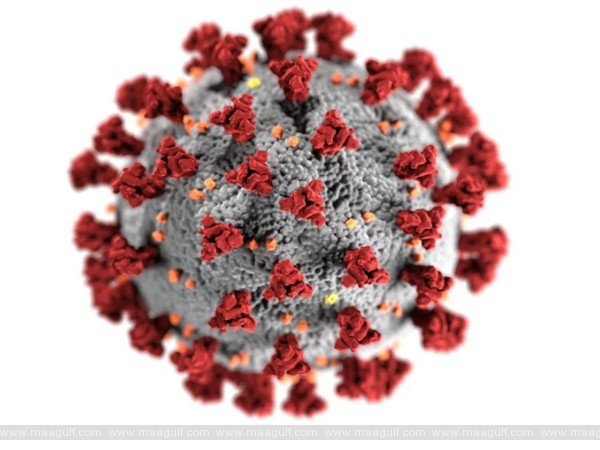 ఒమన్‌లో JN.1 వేరియంట్ కేసులు నమోదు